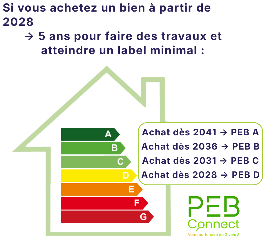 Calendrier des obligations PEB pour les acheteurs en Wallonie